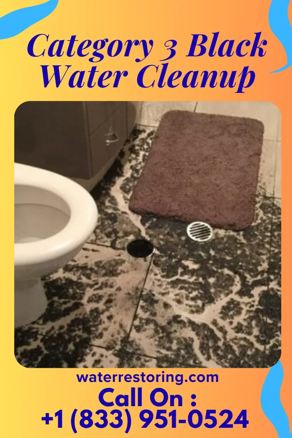 Category 3 Black Water Cleanup in Baton Rouge, LA