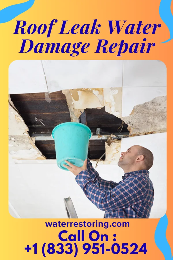 Roof Leak Water Damage Repair in Baton Rouge, LA