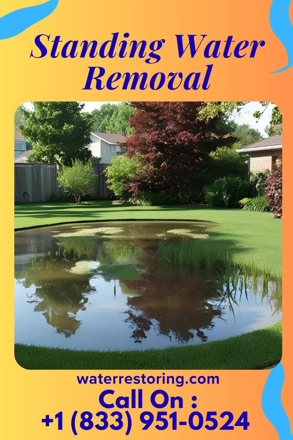Standing Water Removal in Baton Rouge, LA